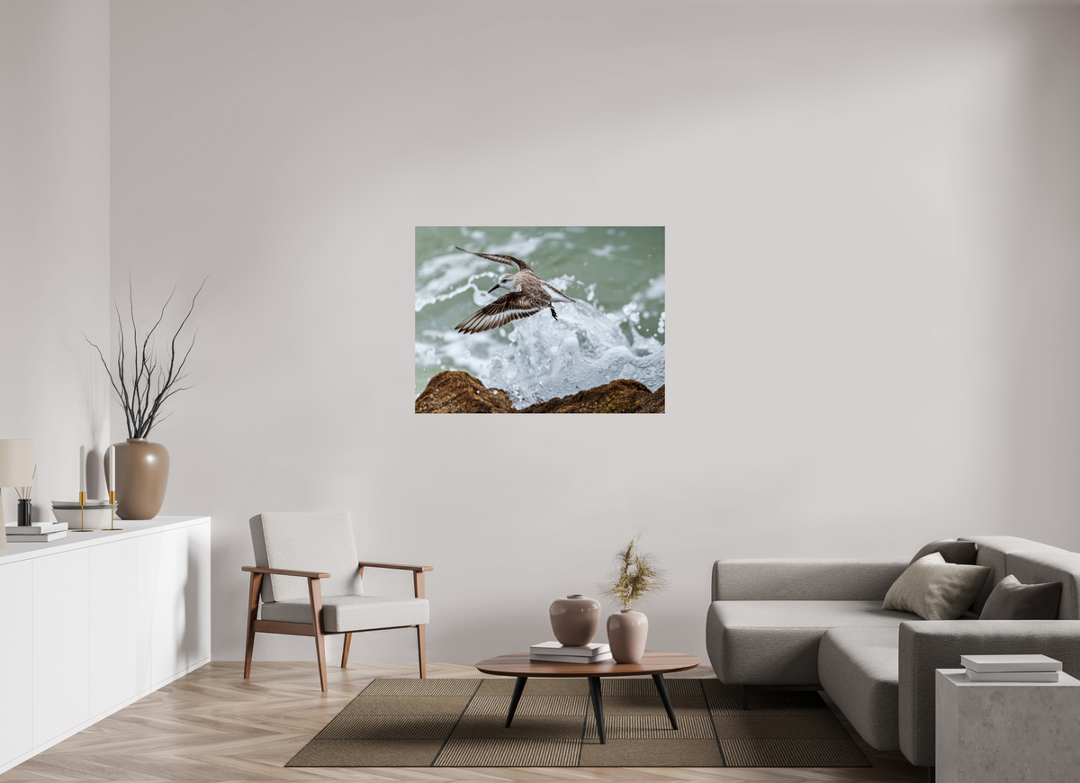 48 x 36″, Glossy Print (Unframed) A Sanderling and the Ocean