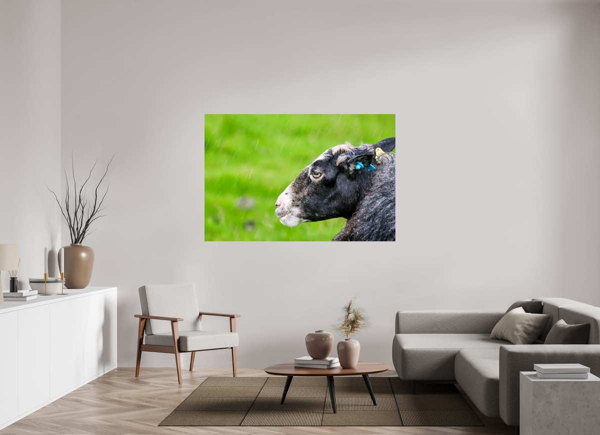 66 x 44″, Glossy Print (Unframed) Norway14