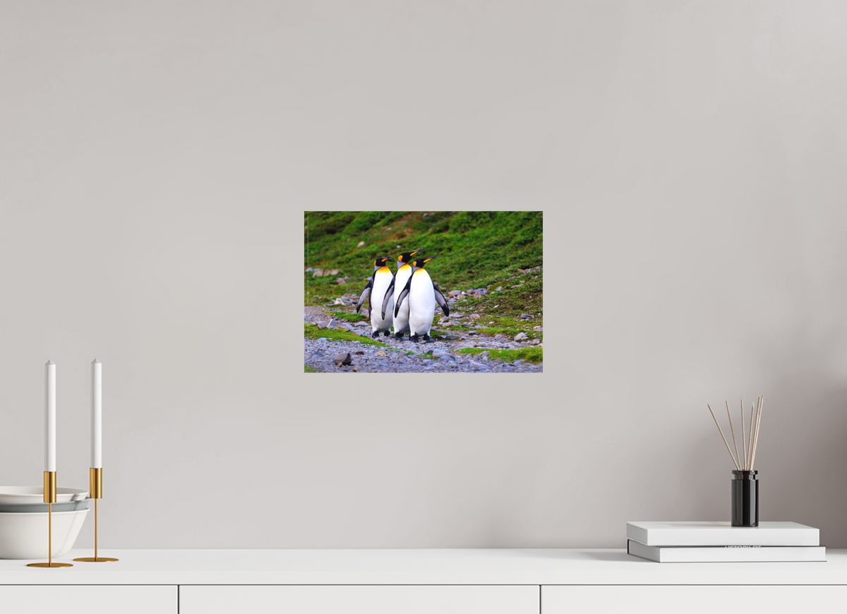 12 x 8″, Canvas Print A18