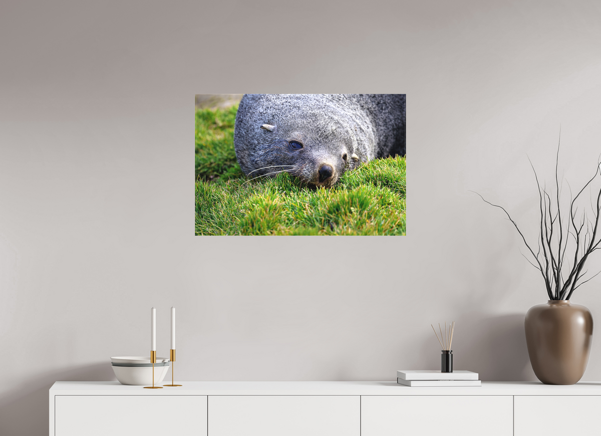 30 x 20″, Canvas Print A22