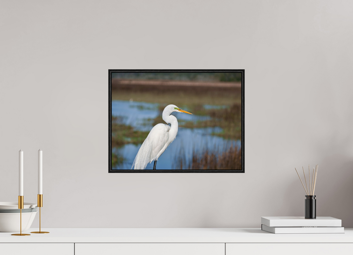 16 x 12″, Acrylic under Glass (Framed) A Great Egret