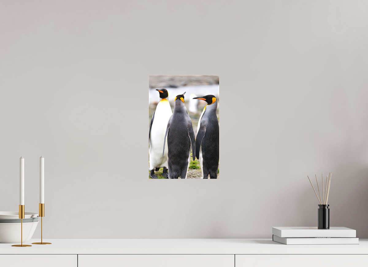 8 x 12″, Canvas Print A13