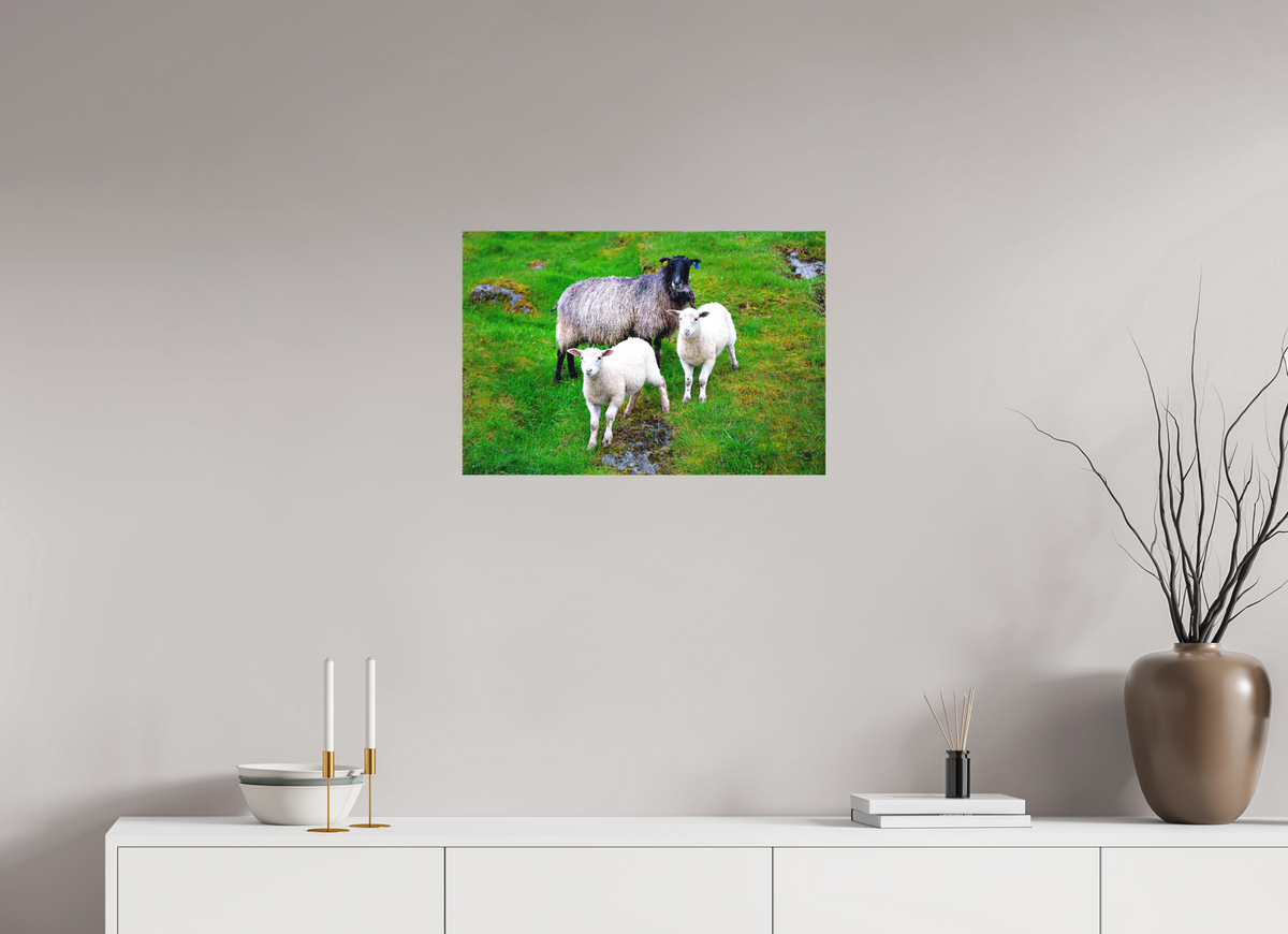 24 x 16″, Canvas Print Norway15
