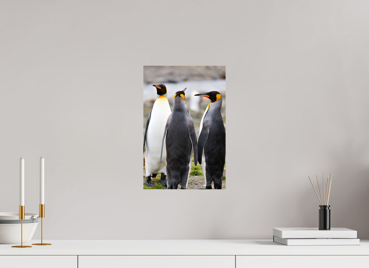 10 x 15″, Glossy Print (Unframed) A13