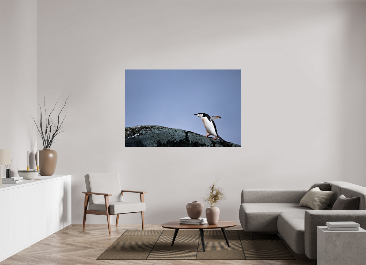 66 x 44″, Glossy Print (Unframed) A7