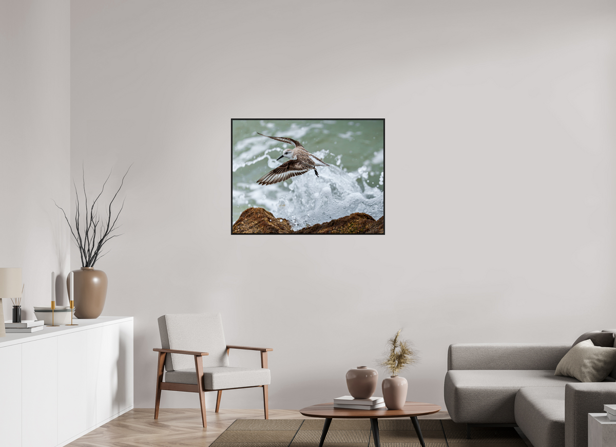 40 x 30″, Acrylic under Glass (Framed) A Sanderling and the Ocean