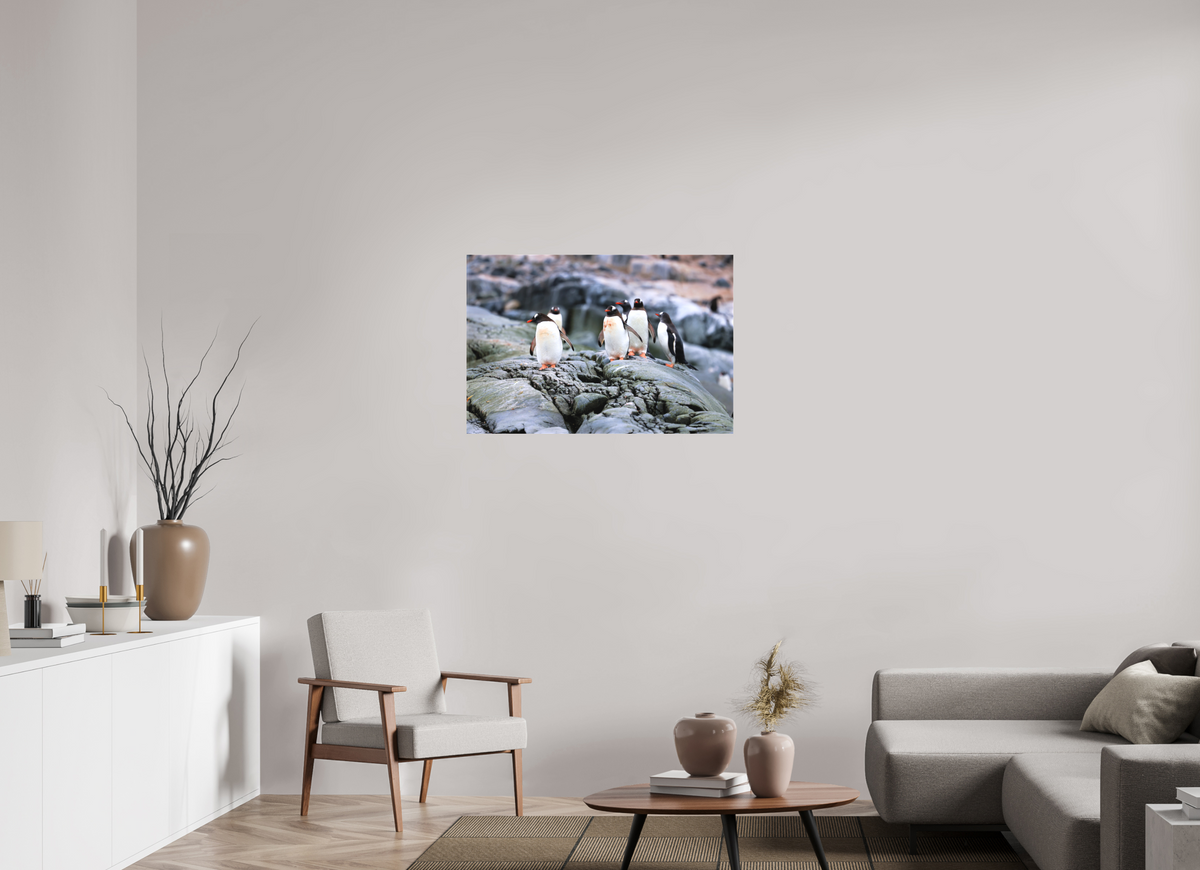 36 x 24″, Canvas Print A1