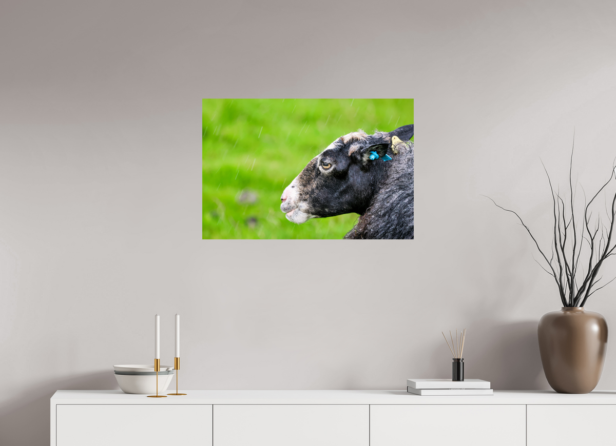 30 x 20″, Glossy Print (Unframed) Norway14
