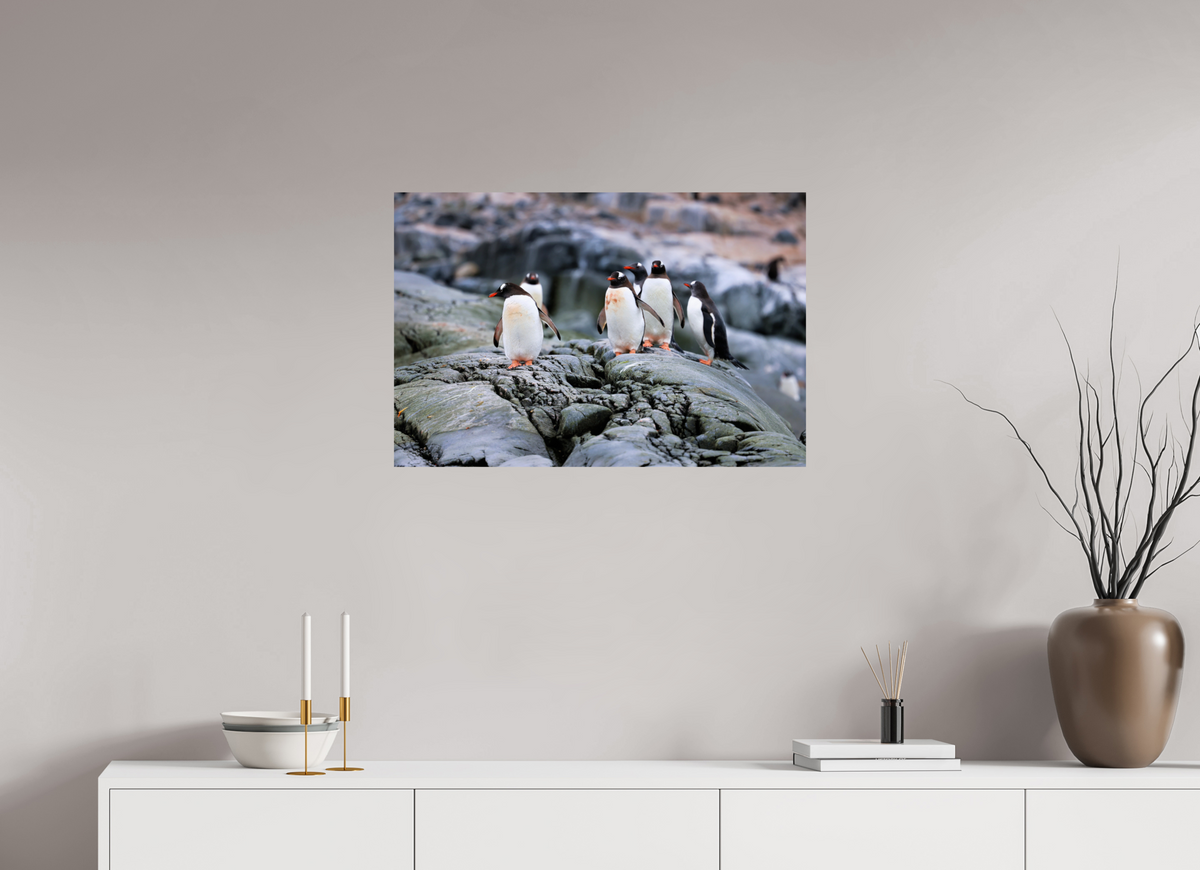 30 x 20″, Glossy Print (Unframed) A1