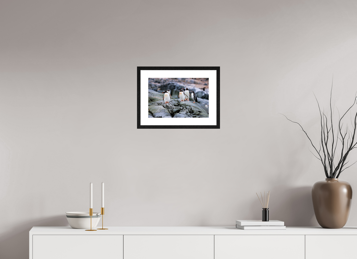 15 x 10″, Glossy Print (Framed) A1