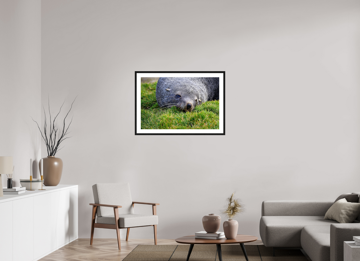 36 x 24″, Glossy Print (Framed) A22