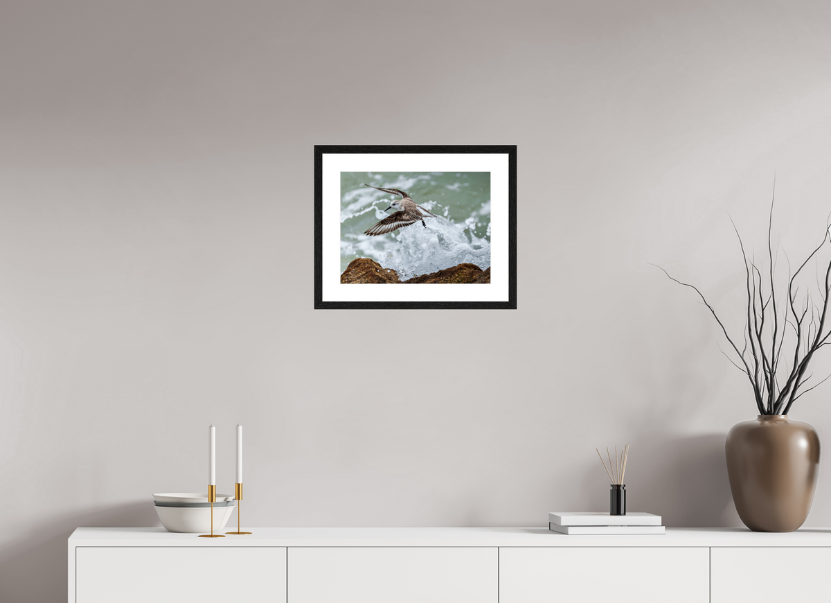 16 x 12″, Glossy Print (Framed) A Sanderling and the Ocean