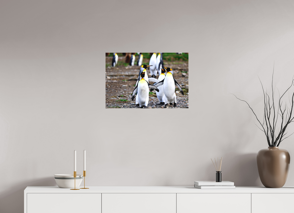24 x 16″, Canvas Print A20