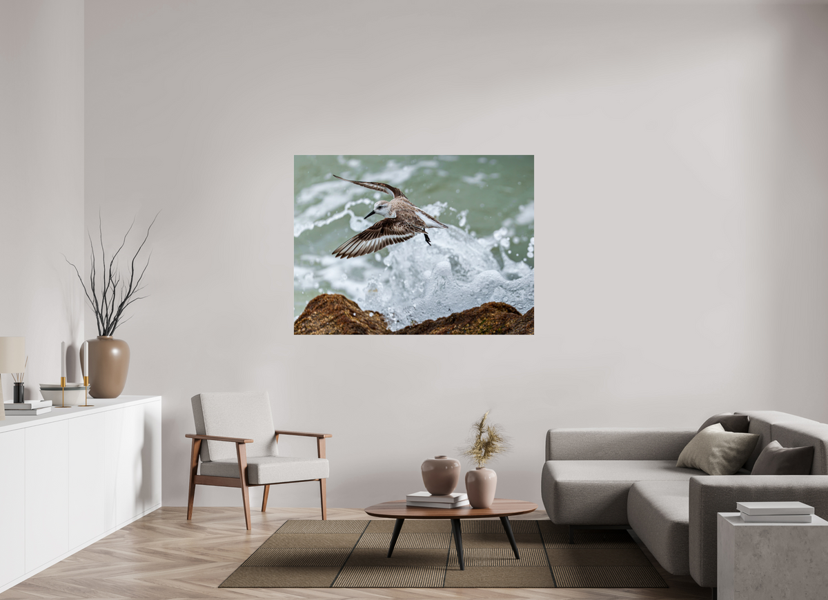 60 x 45″, Acrylic under Glass (Unframed) A Sanderling and the Ocean