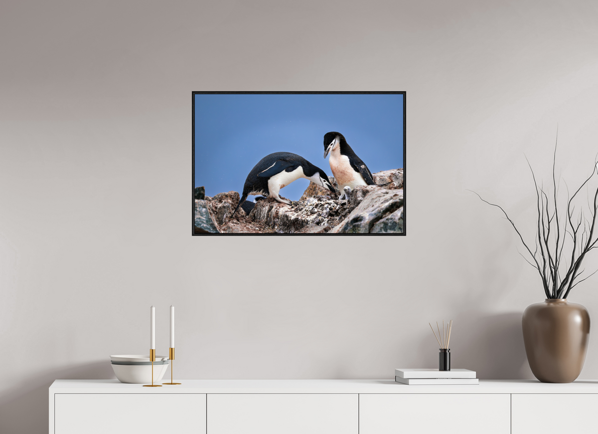 30 x 20″, Acrylic under Glass (Framed) A6