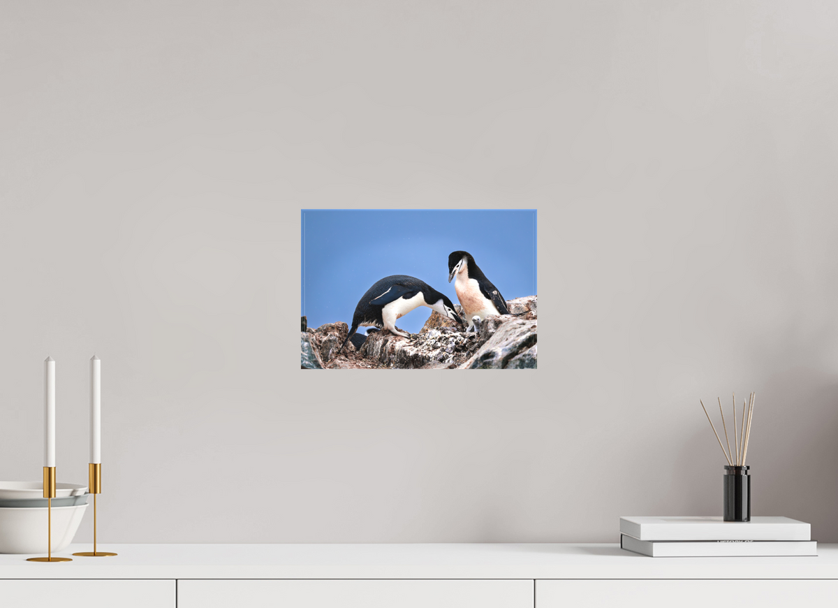 12 x 8″, Canvas Print A6