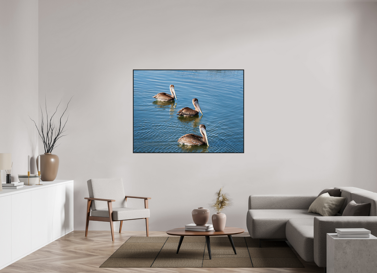 60 x 45″, Acrylic under Glass (Framed) Triple Brown Pelican