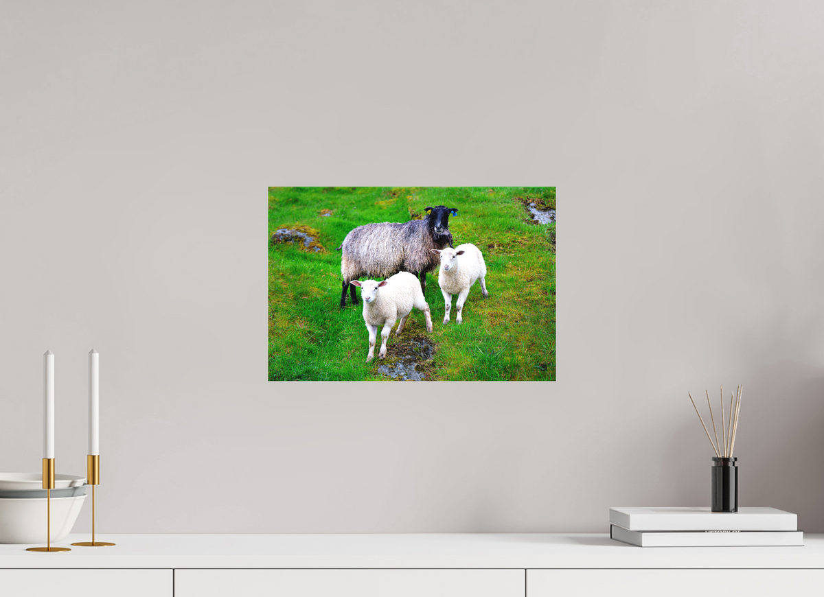 15 x 10″, Canvas Print Norway15