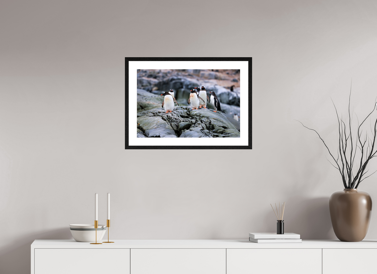24 x 16″, Glossy Print (Framed) A1