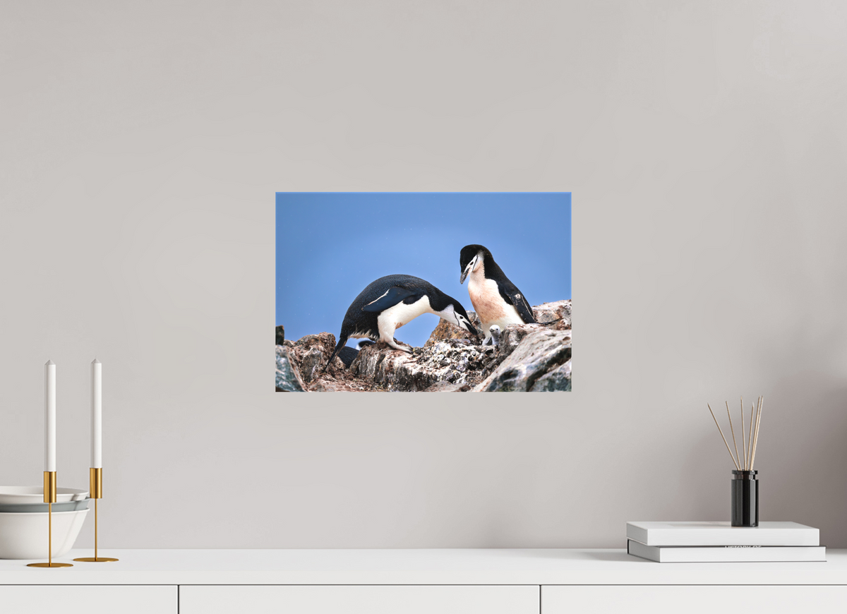 15 x 10″, Canvas Print A6