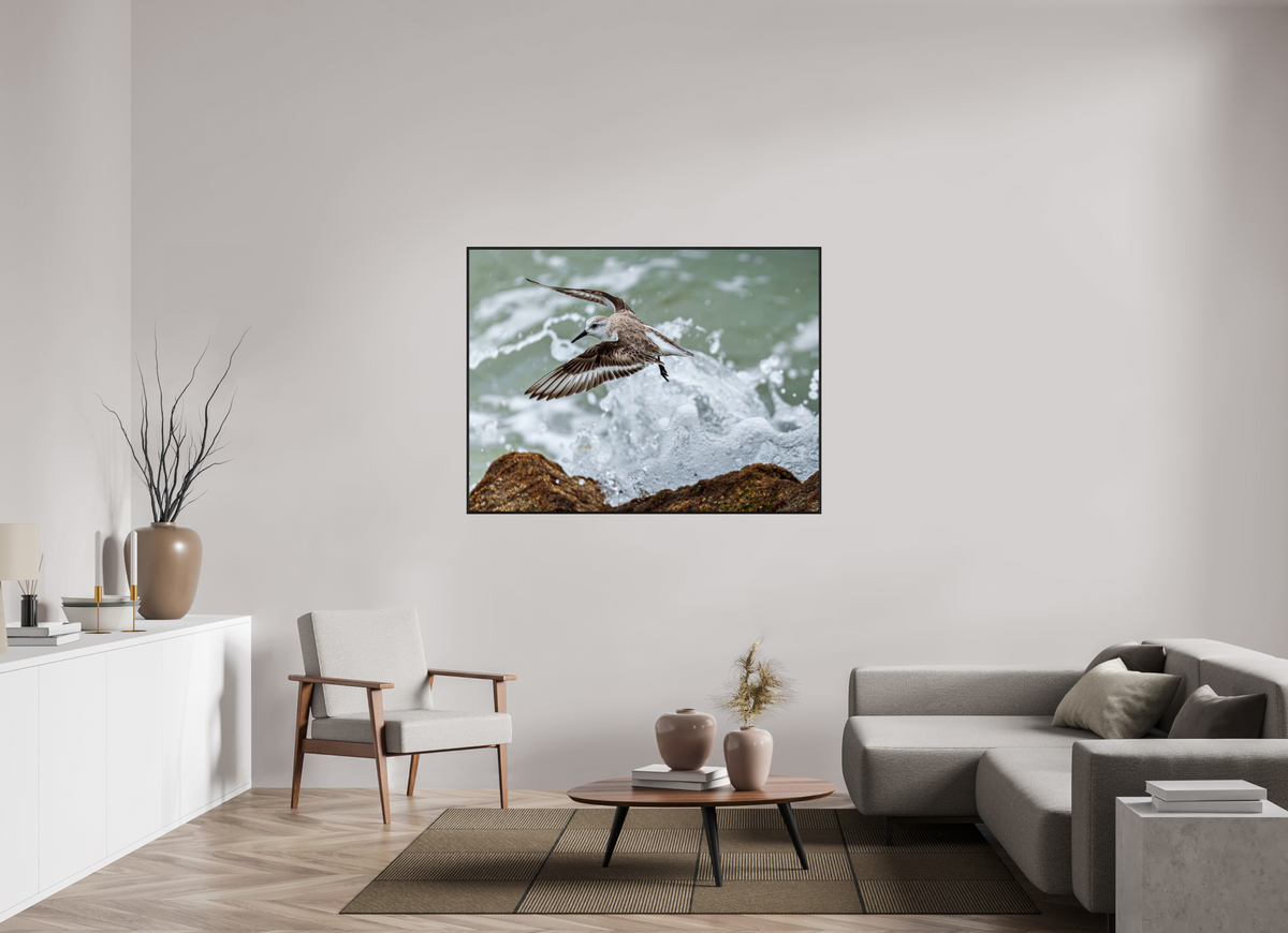 56 x 42″, Acrylic under Glass (Framed) A Sanderling and the Ocean