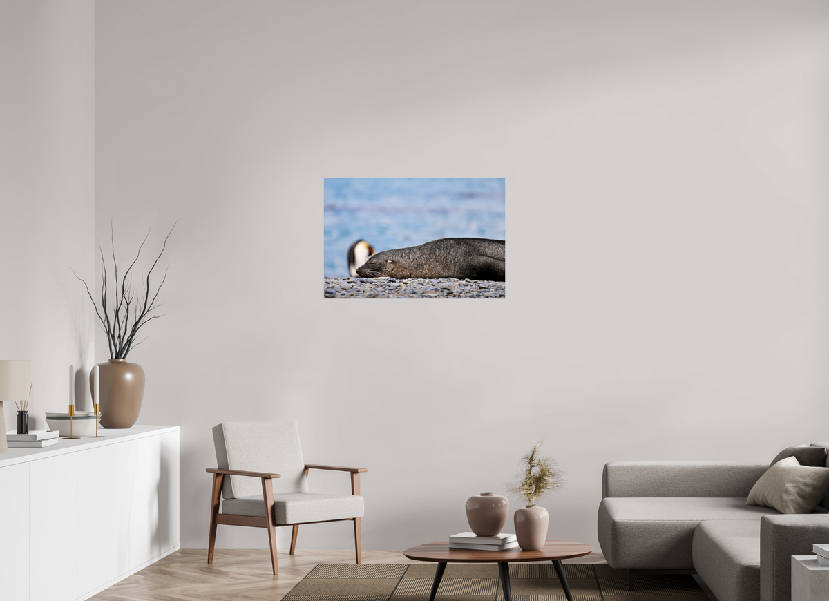 36 x 24″, Glossy Print (Unframed) A17