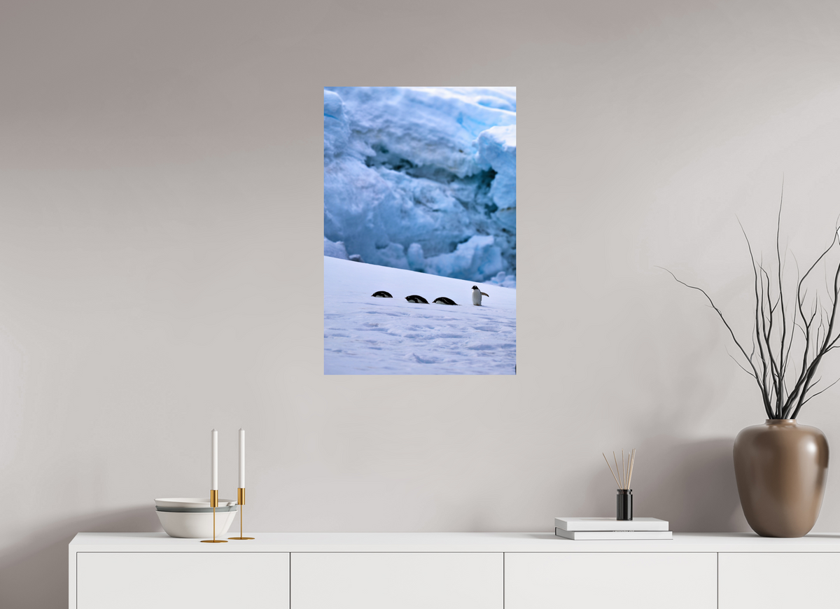 20 x 30″, Glossy Print (Unframed) A4