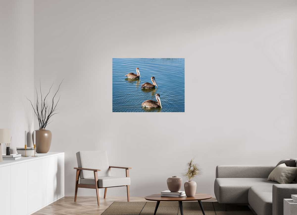 40 x 30″, Glossy Print (Unframed) Triple Brown Pelican