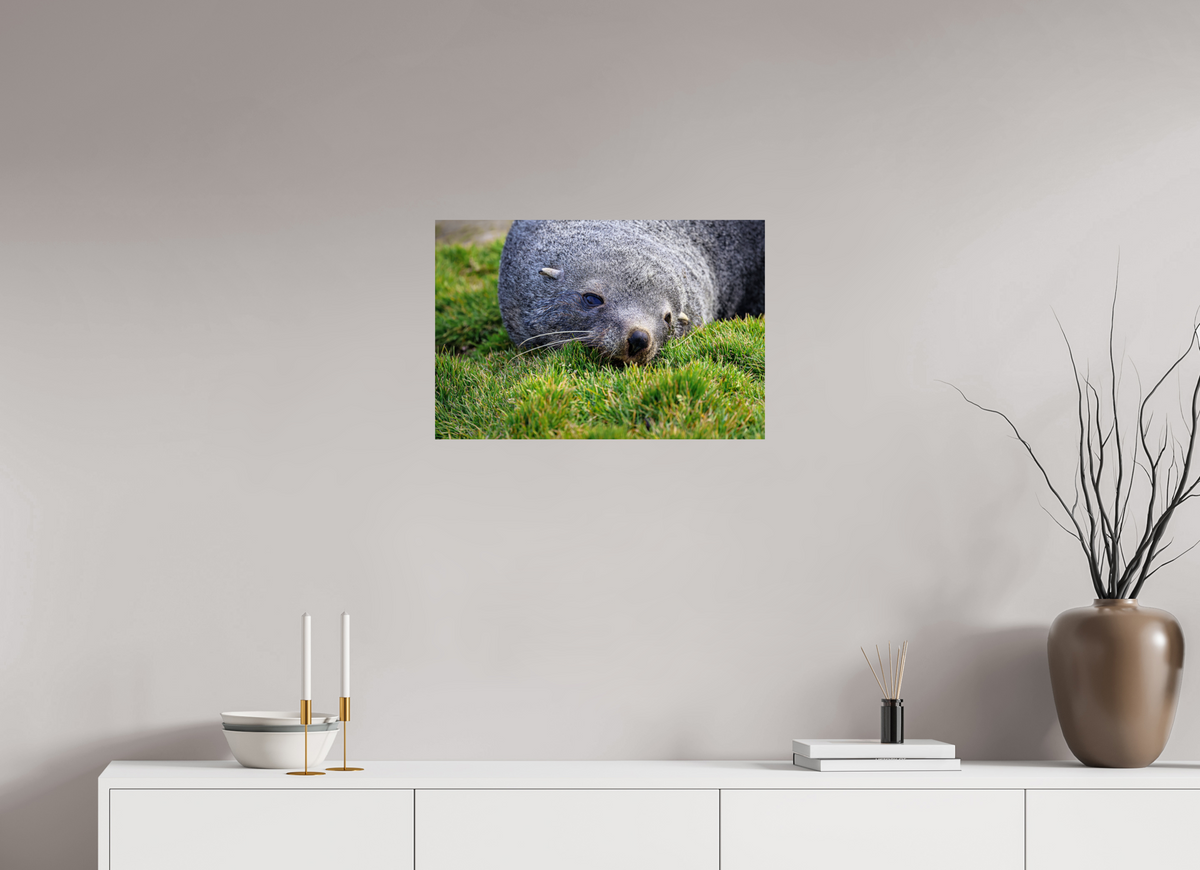 24 x 16″, Glossy Print (Unframed) A22