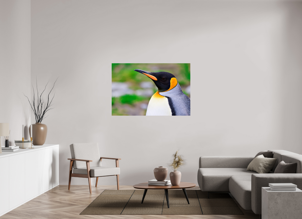 54 x 36″, Glossy Print (Unframed) A12