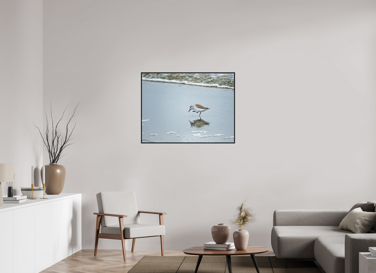 40 x 30″, Acrylic under Glass (Framed) A Sanderling Scratch