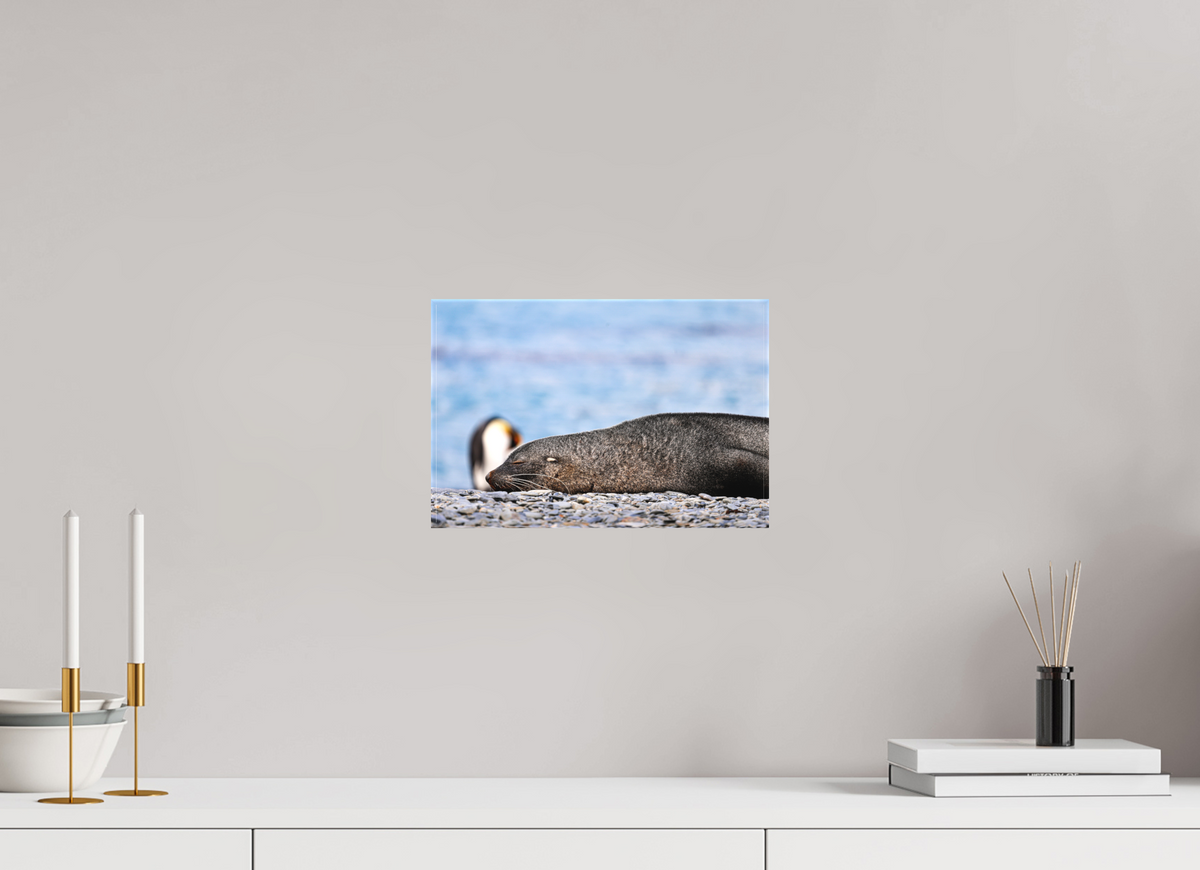 12 x 8″, Canvas Print A17