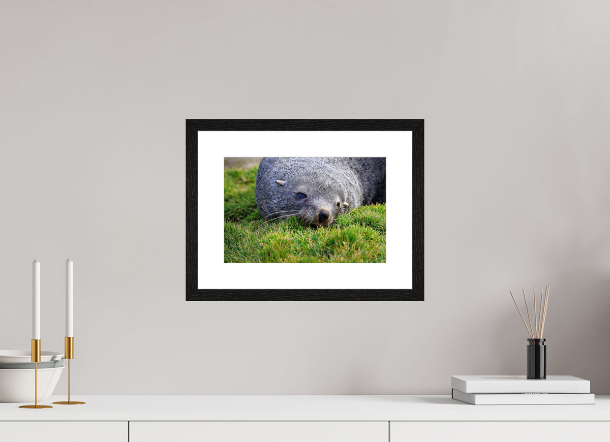 12 x 8″, Glossy Print (Framed) A22