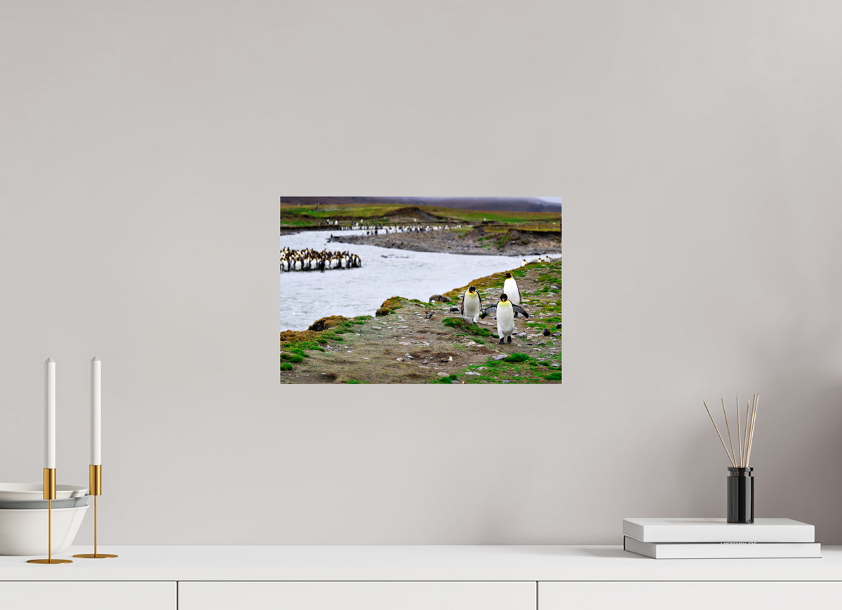 15 x 10″, Glossy Print (Unframed) A14