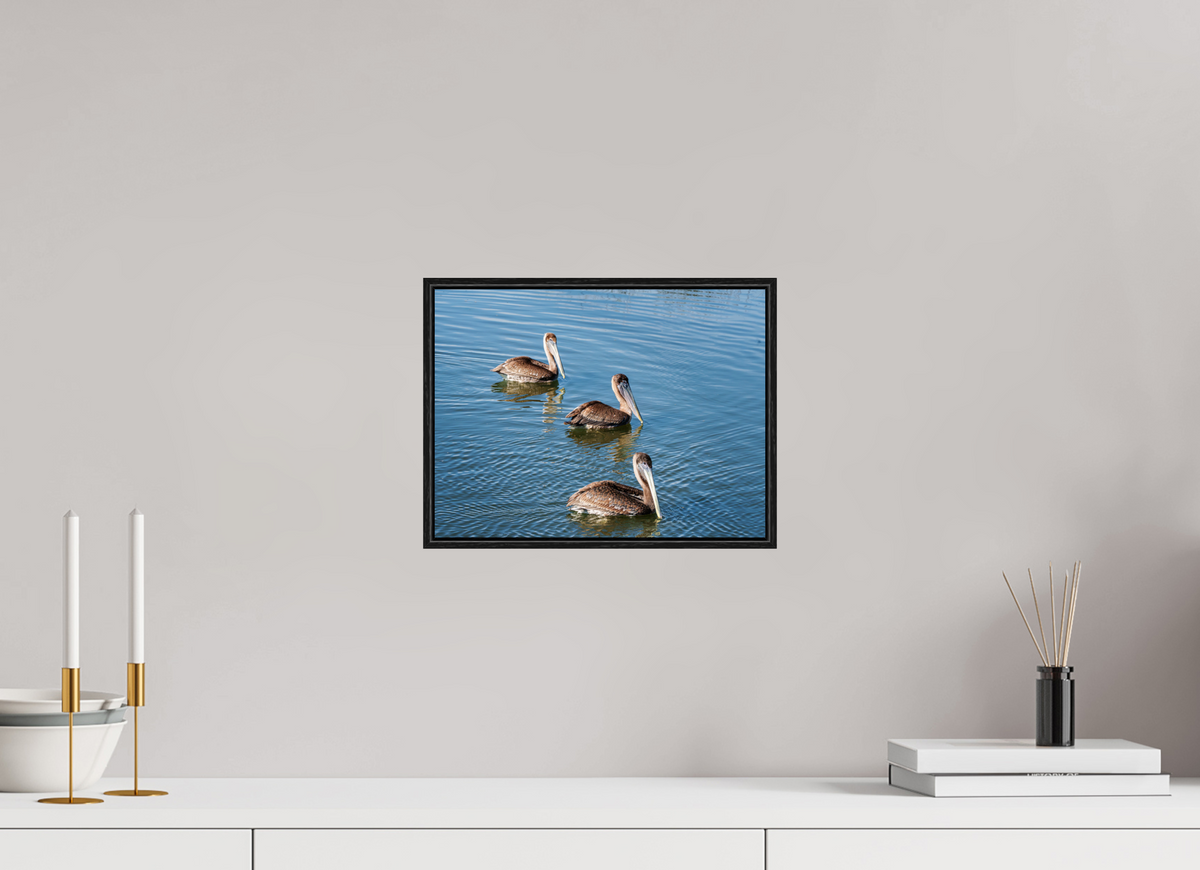 12 x 9″, Acrylic under Glass (Framed) Triple Brown Pelican