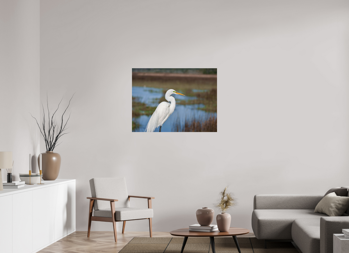 40 x 30″, Acrylic under Glass (Unframed) A Great Egret