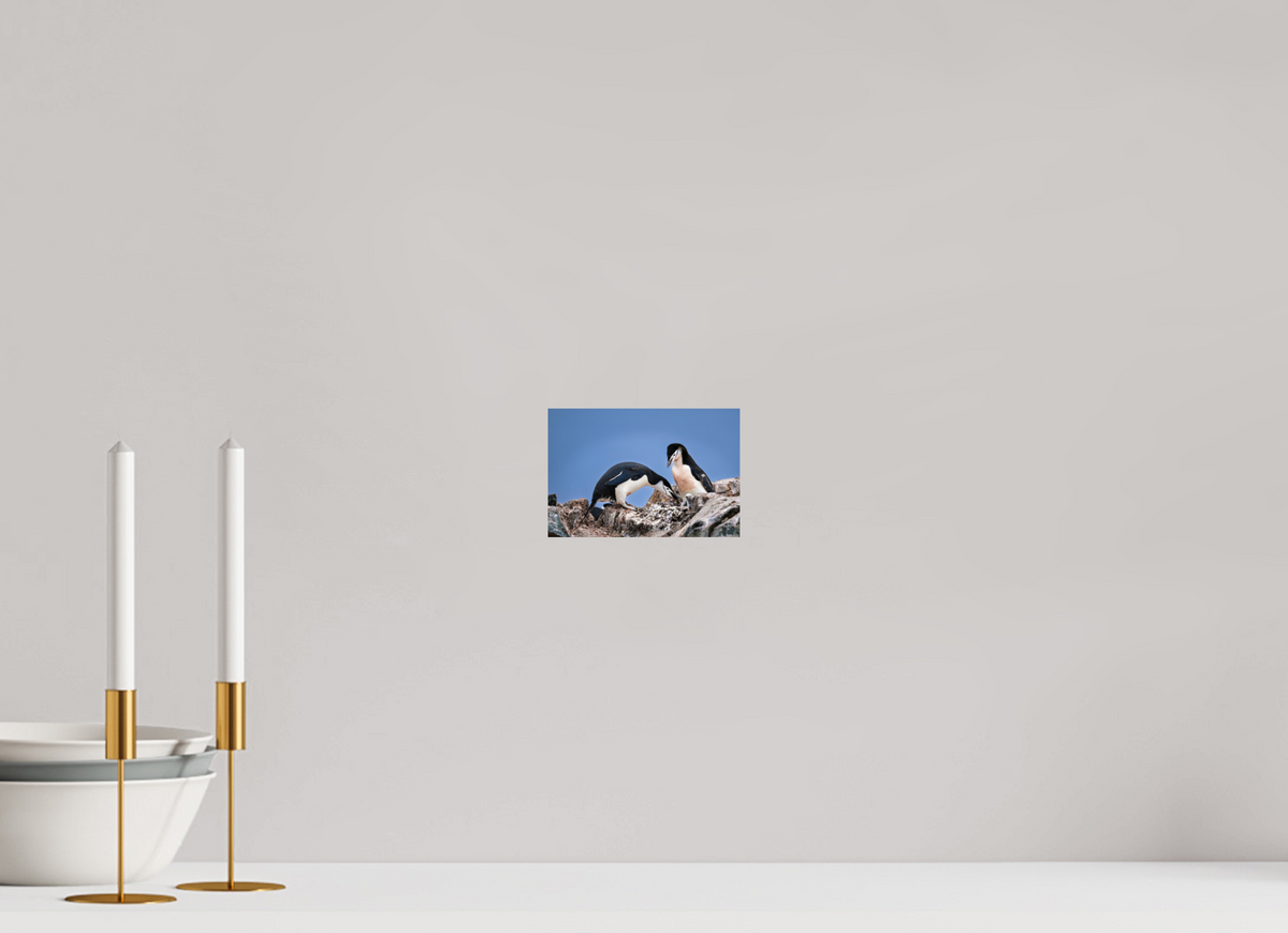 6 x 4″, Glossy Print (Unframed) A6