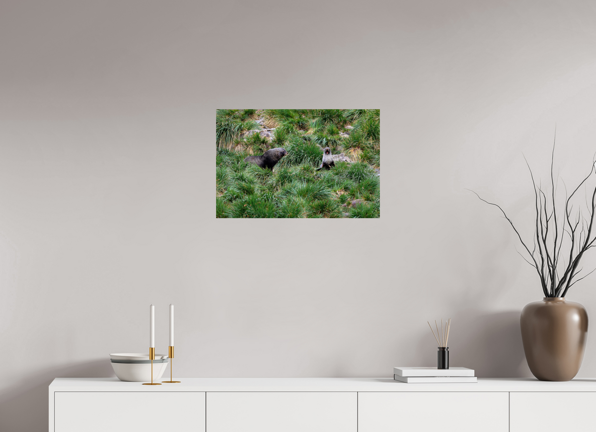 24 x 16″, Glossy Print (Unframed) A23