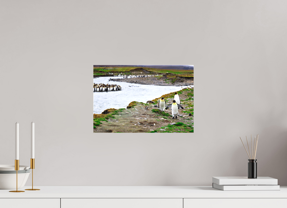 15 x 10″, Canvas Print A14