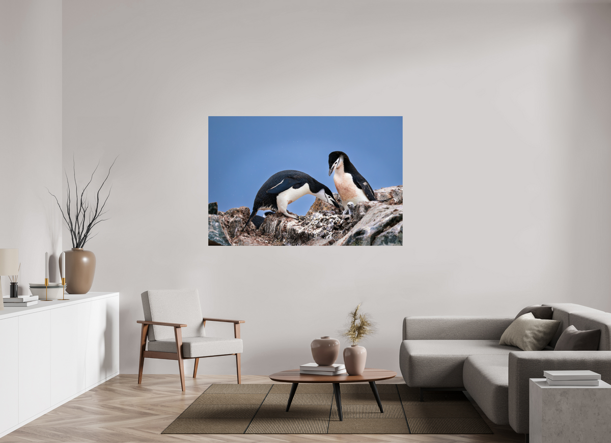 66 x 44″, Glossy Print (Unframed) A6