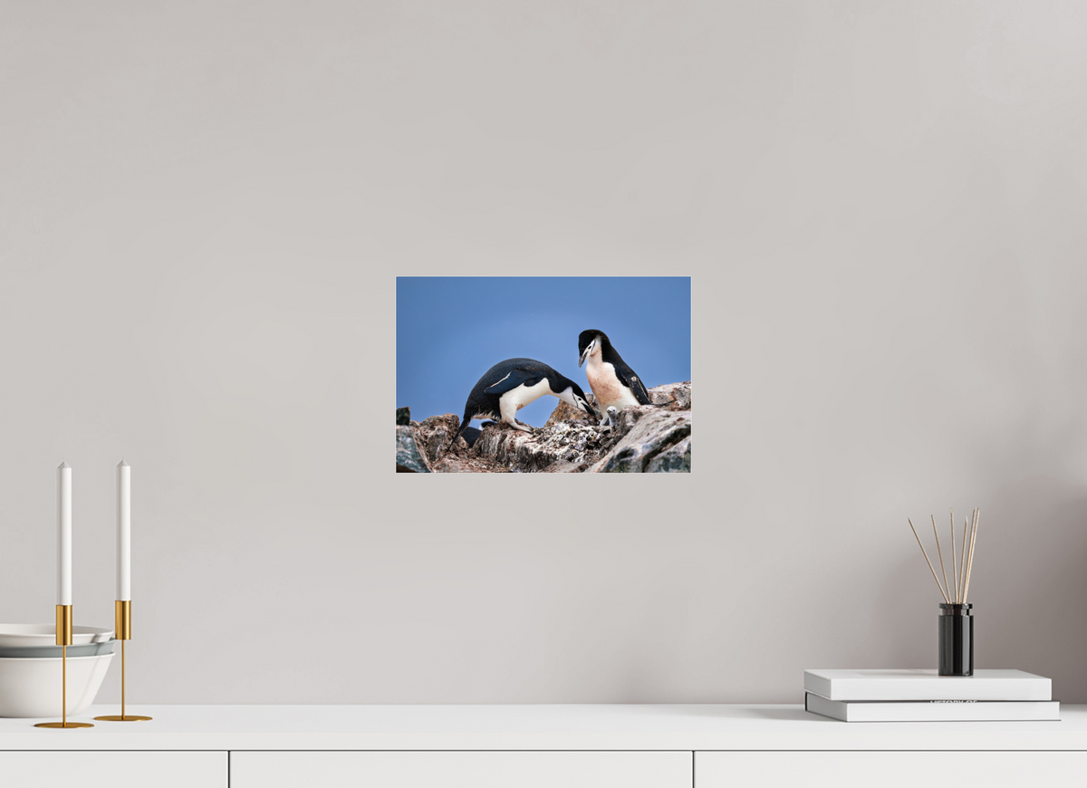 12 x 8″, Acrylic under Glass (Unframed) A6