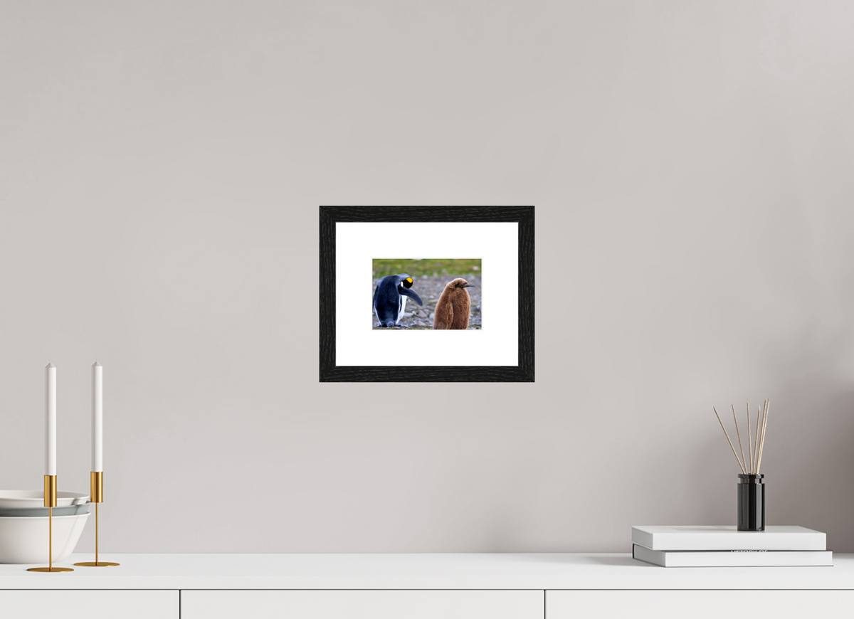 6 x 4″, Glossy Print (Framed) A19