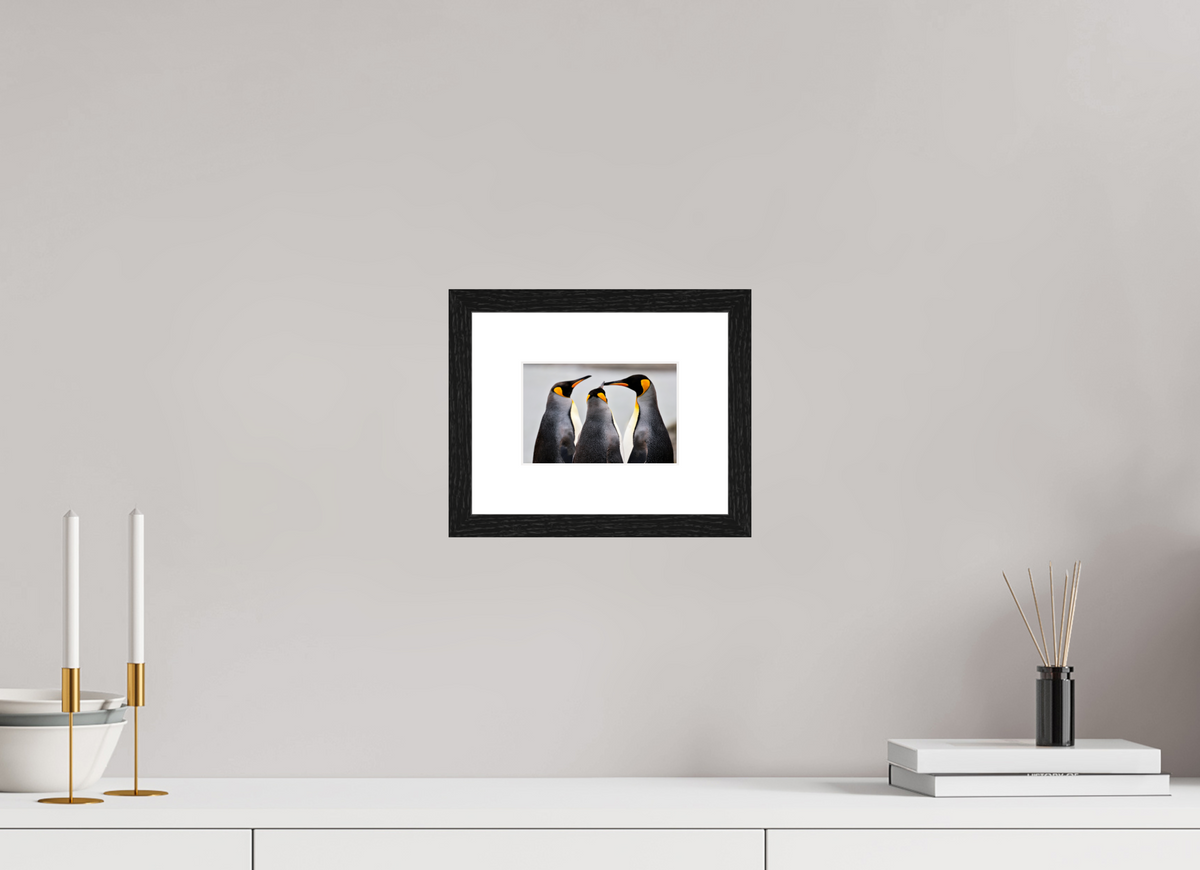 6 x 4″, Glossy Print (Framed) A12
