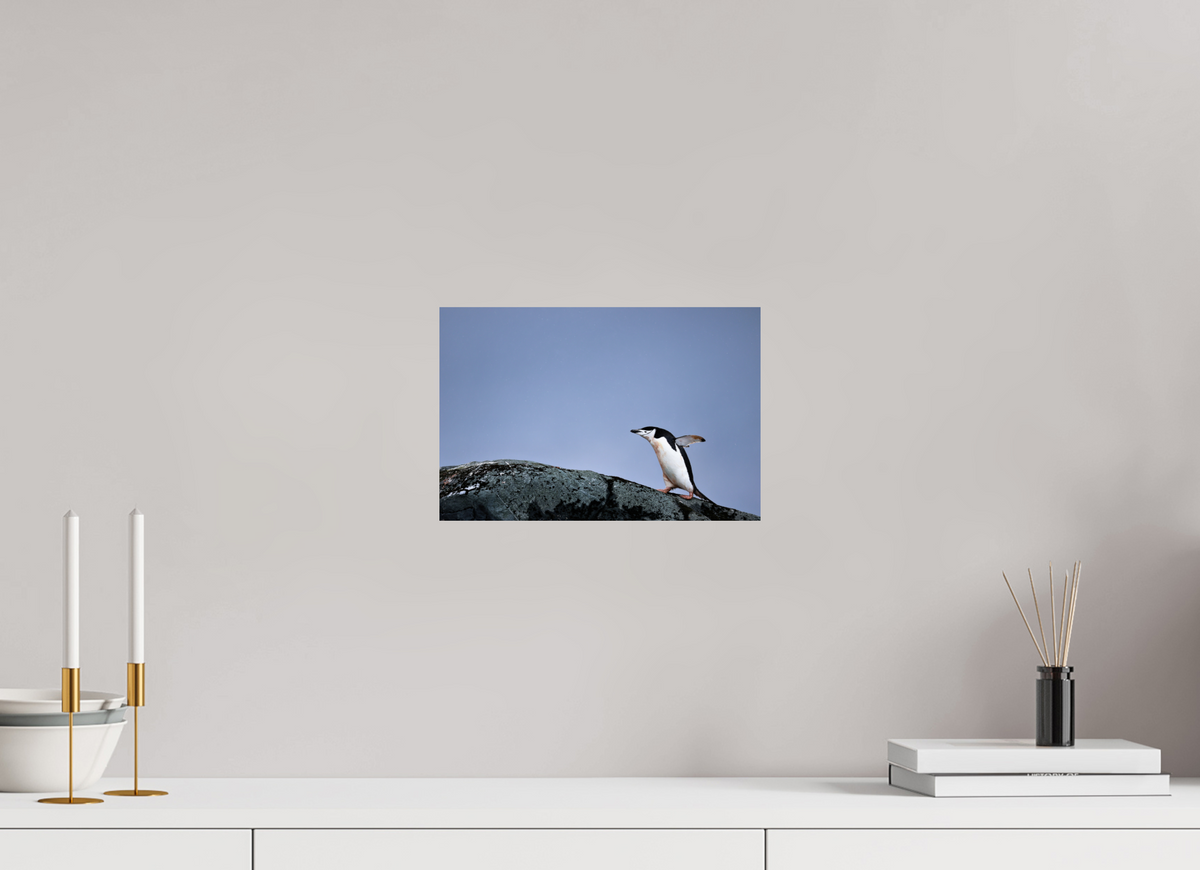 12 x 8″, Glossy Print (Unframed) A7
