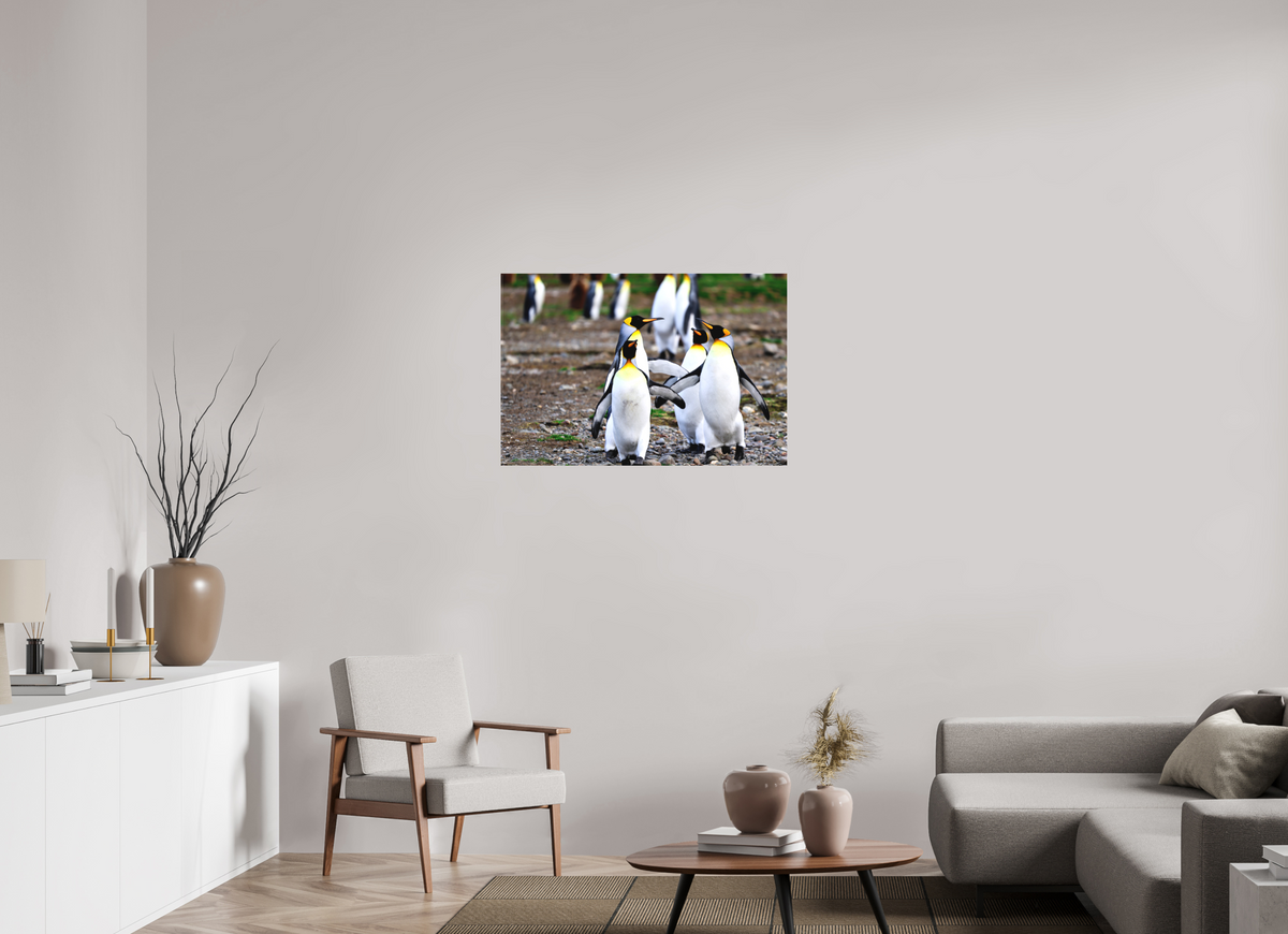 36 x 24″, Canvas Print A20