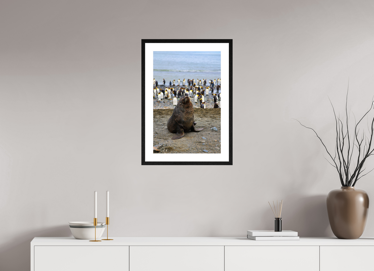 16 x 24″, Glossy Print (Framed) A11