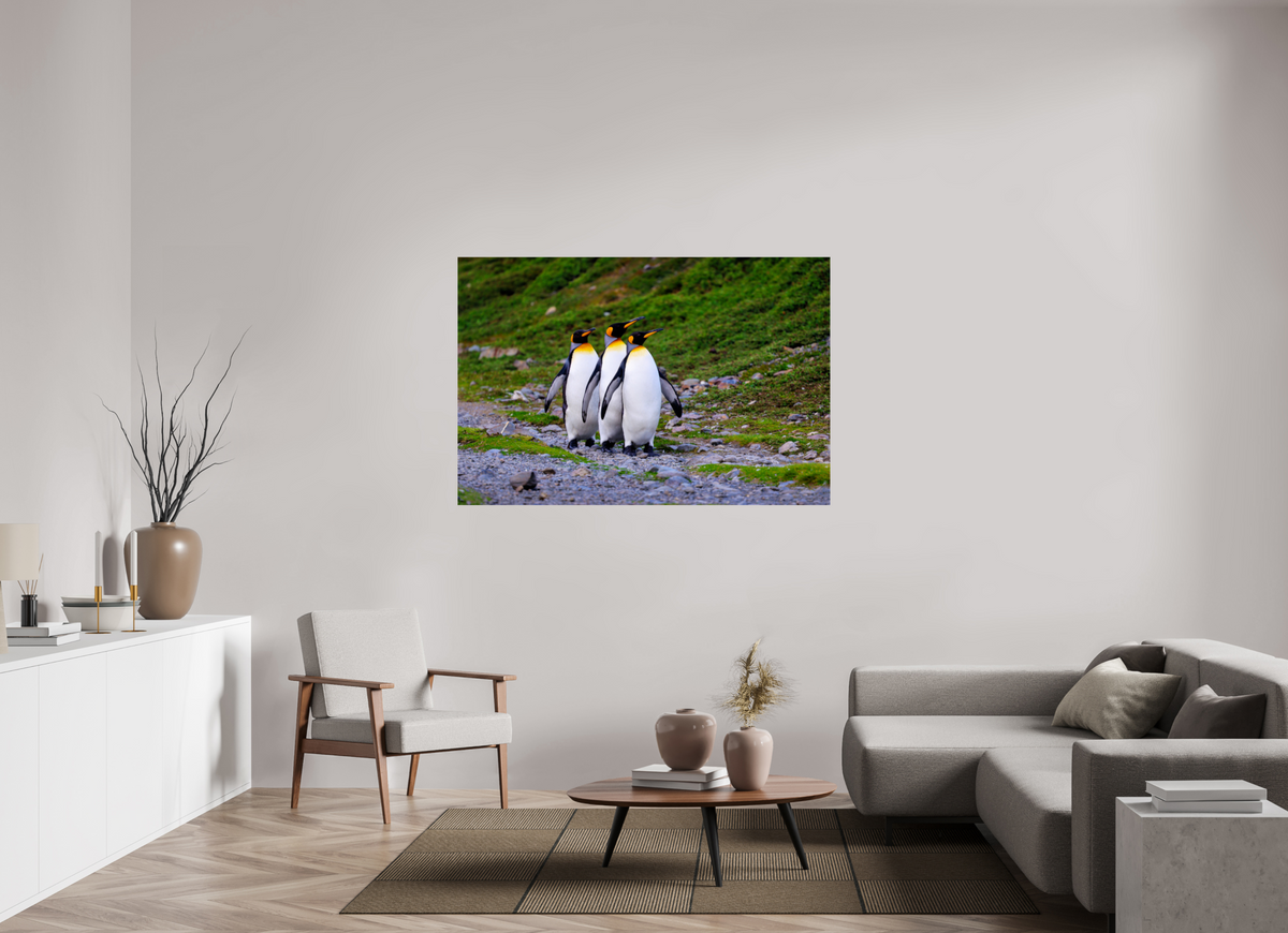 60 x 40″, Glossy Print (Unframed) A18