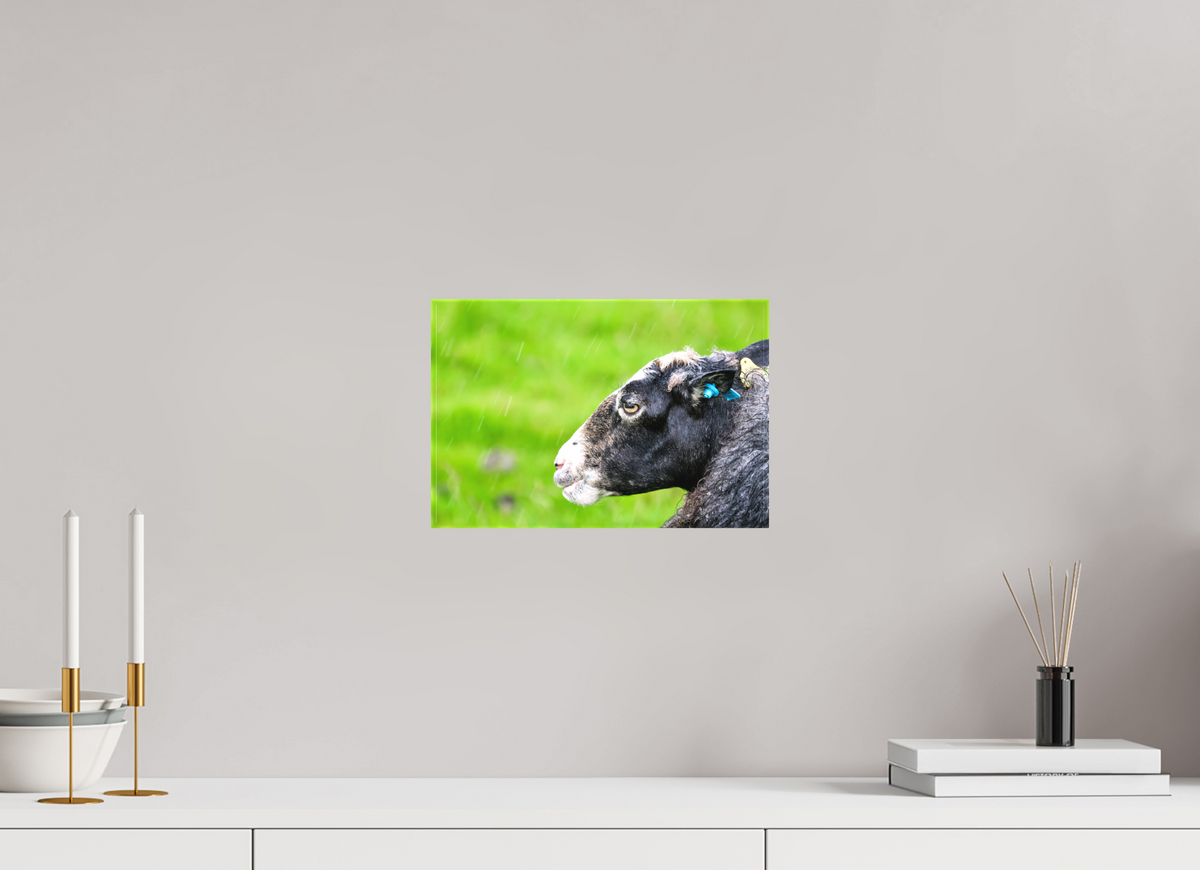 12 x 8″, Canvas Print Norway14
