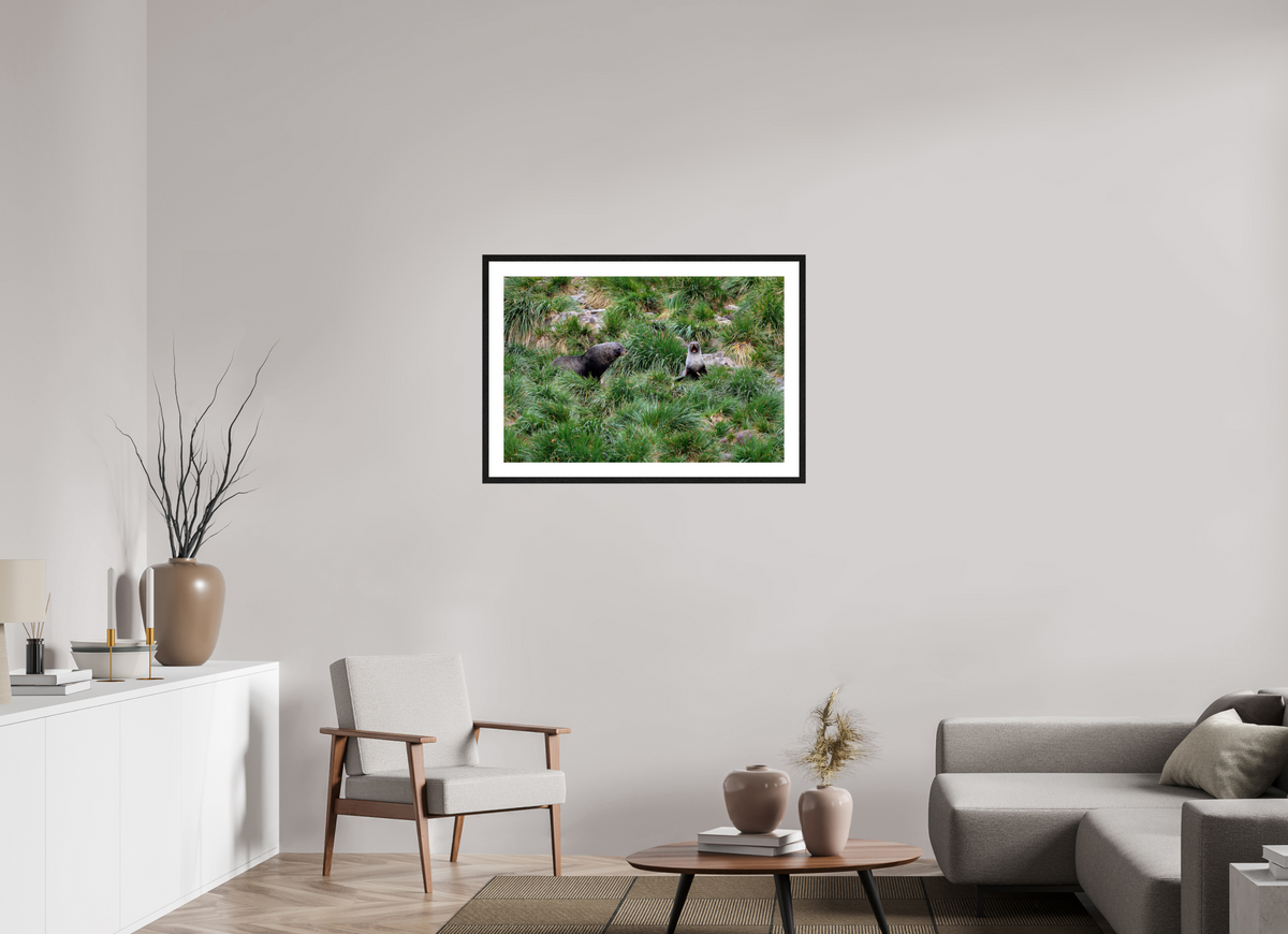 36 x 24″, Glossy Print (Framed) A23