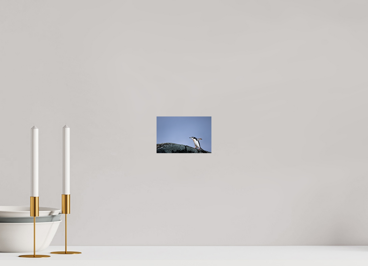 6 x 4″, Glossy Print (Unframed) A7